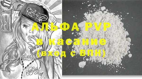 стафф Надым