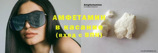 прущие грибы Бикин
