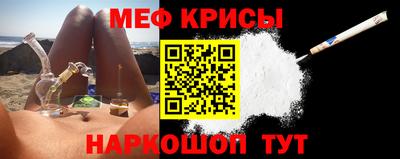индика Дубна