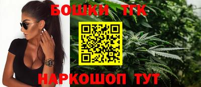 индика Дубна