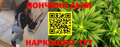 индика Дубна