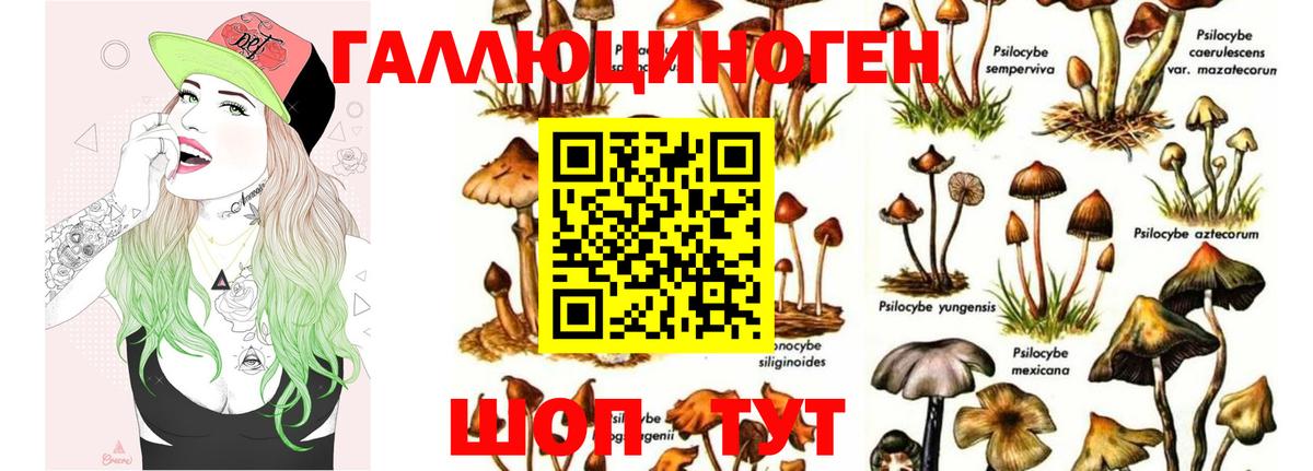Галлюциногенные грибы Psilocybe Лосино-Петровский